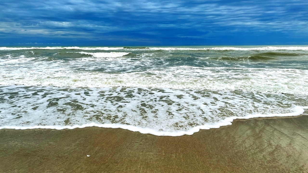Photo of Others in Indian Beach