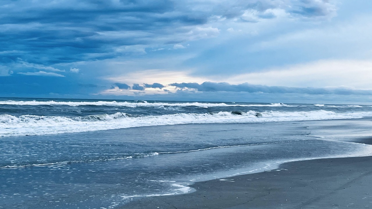 Photo of Others in Indian Beach