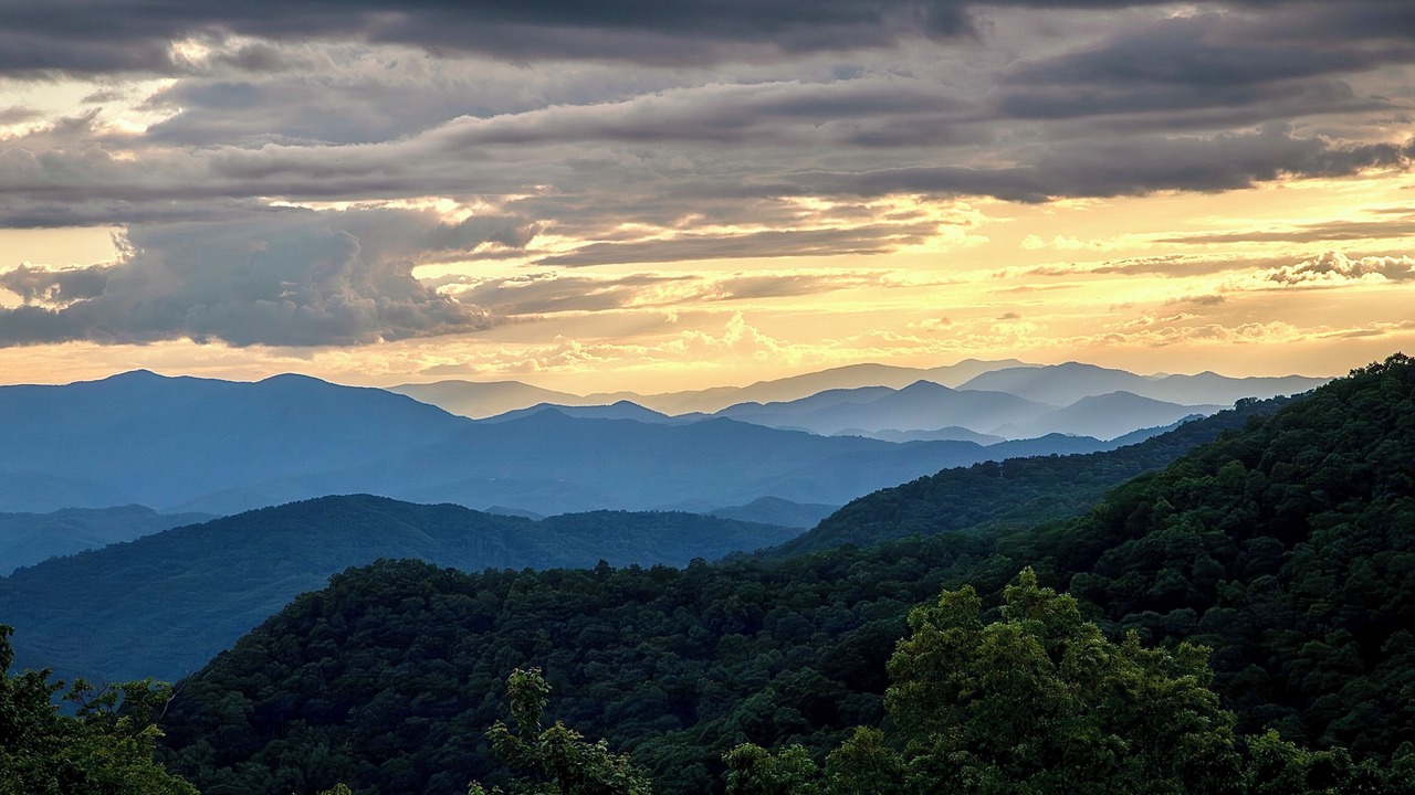Photo of Others in Bryson City