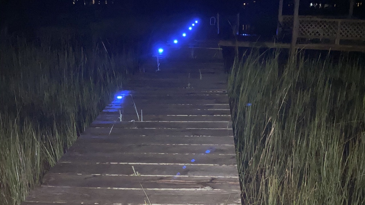 Photo of Outdoor in Morehead City