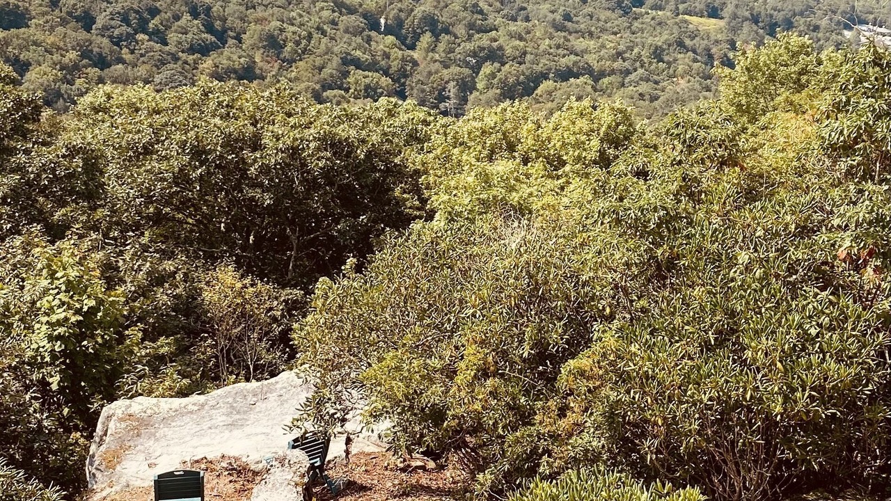 Photo of Others in Seven Devils