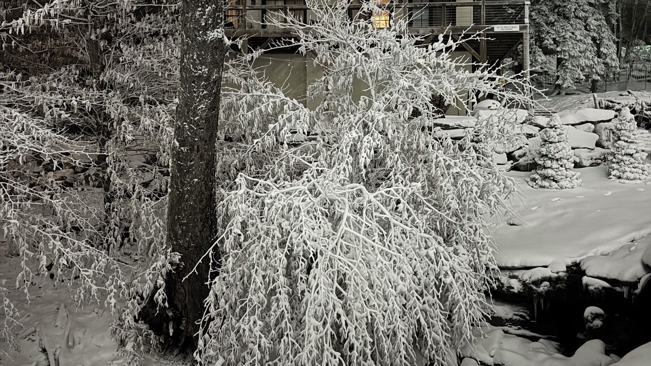 Photo of Outdoor in Beech Mountain