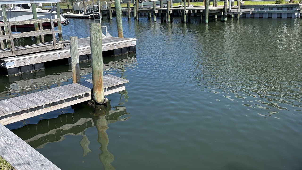 Photo of Others in Atlantic Beach