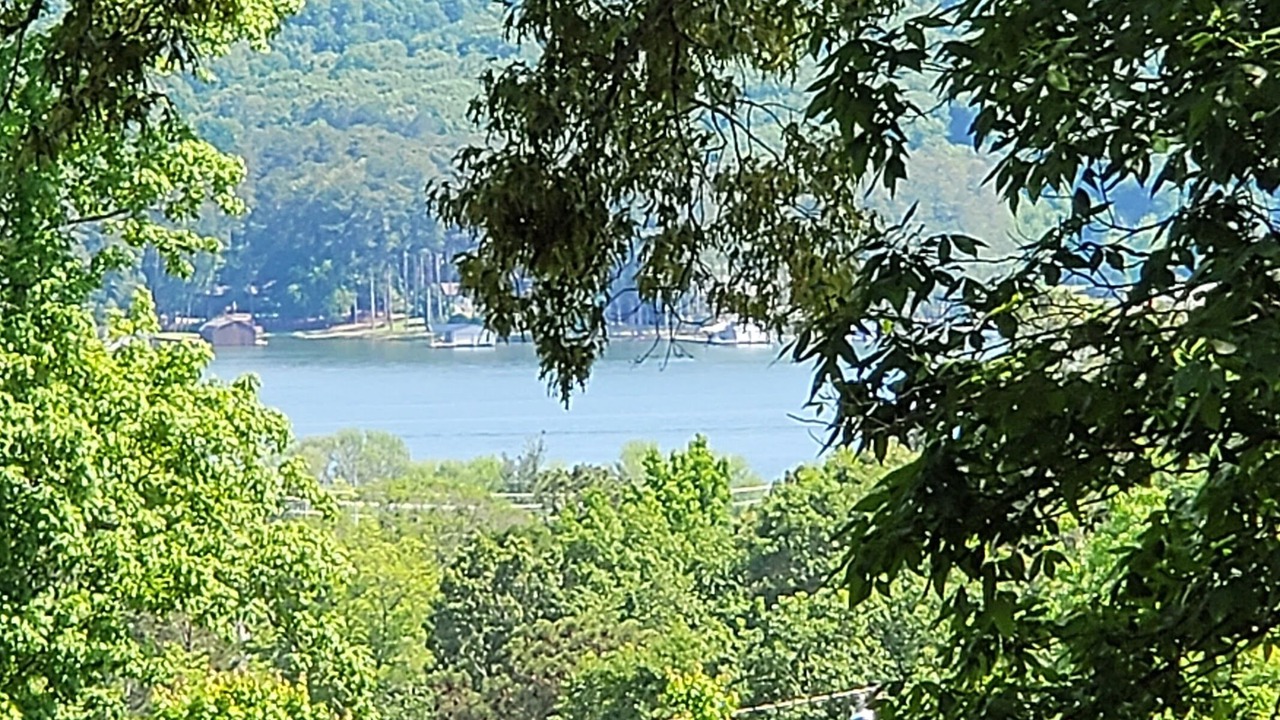 Photo of Others in Guntersville