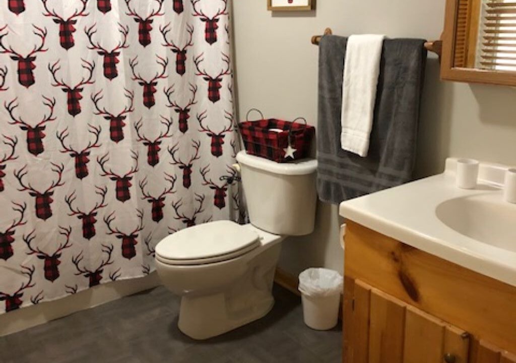 Photo of Bathroom in Piney Creek