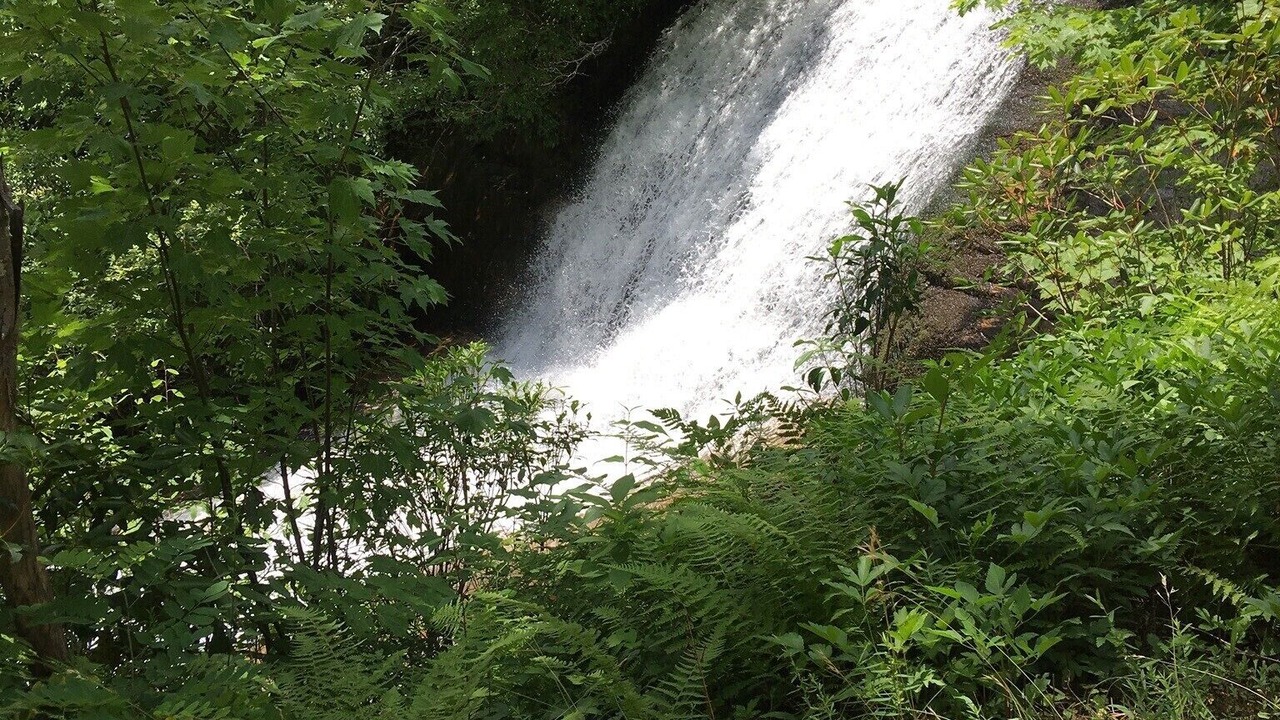 Photo of Outdoor in Lake Toxaway