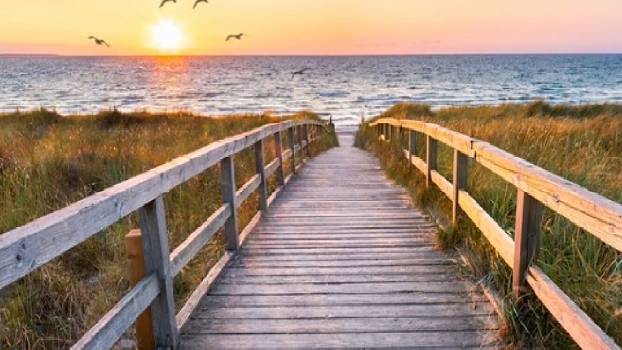 Photo of Others in North Carolina Coast