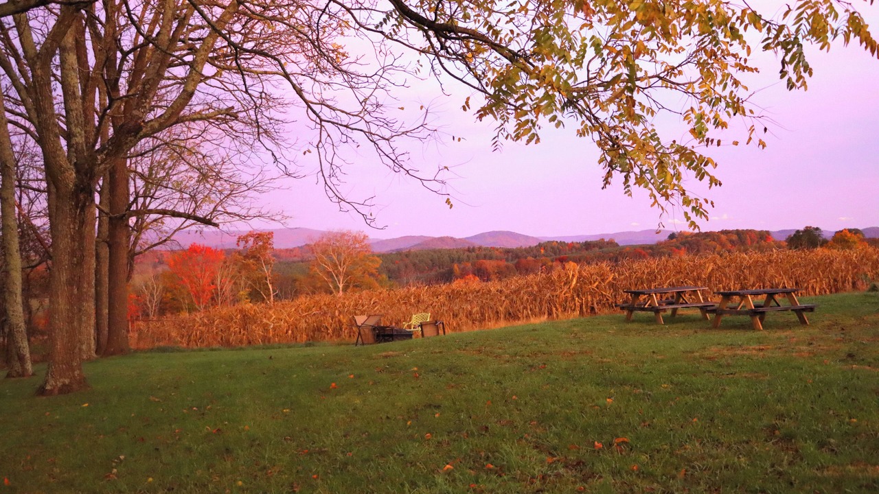 Photo of Outdoor in Alleghany County