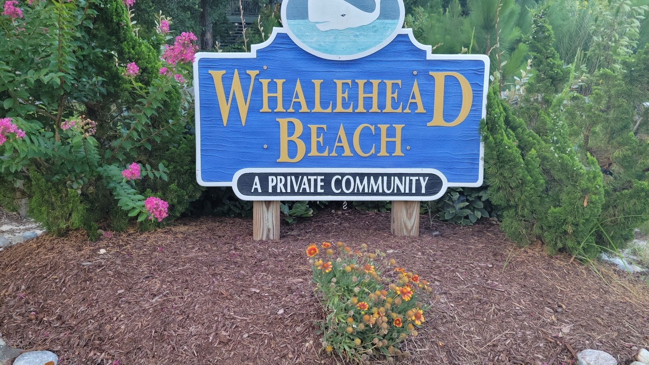 Photo of Outdoor in Currituck County