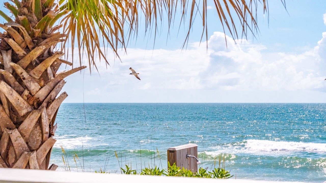Photo of Others in Kure Beach