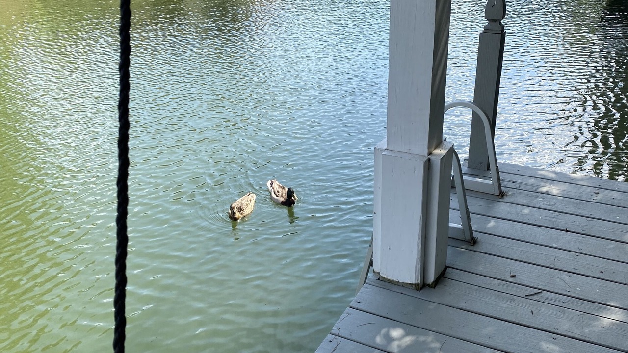 Photo of Others in Garner Cove