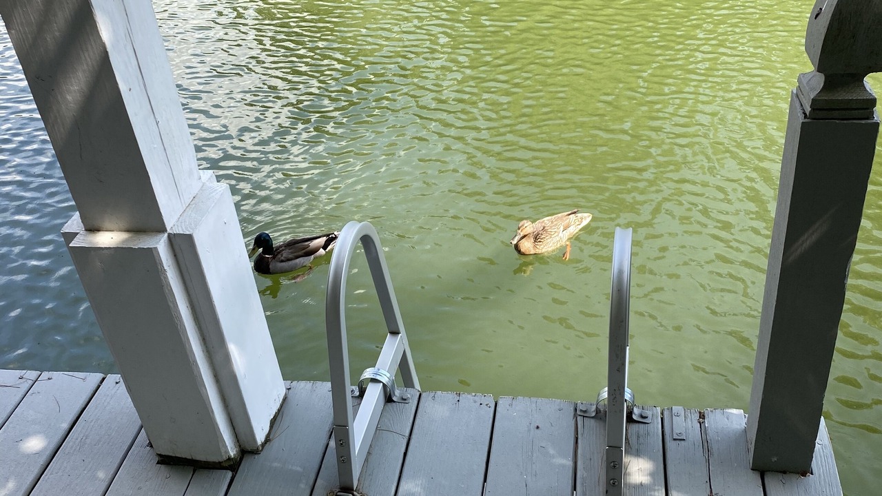 Photo of Others in Garner Cove