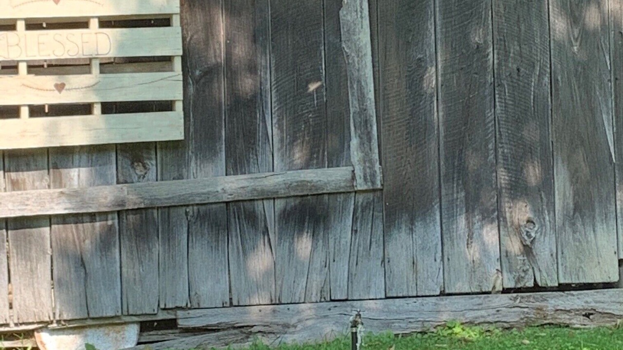 Photo of Others in Creston