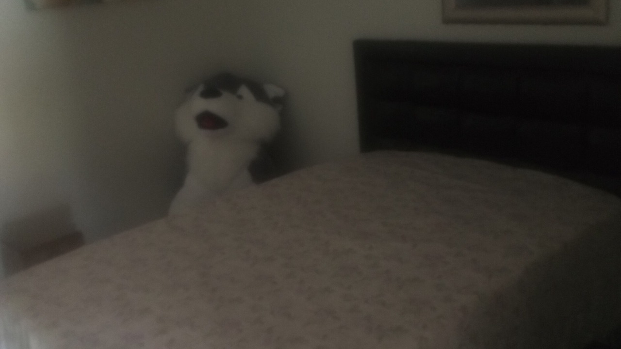 Photo of Bedroom in Winston - Salem