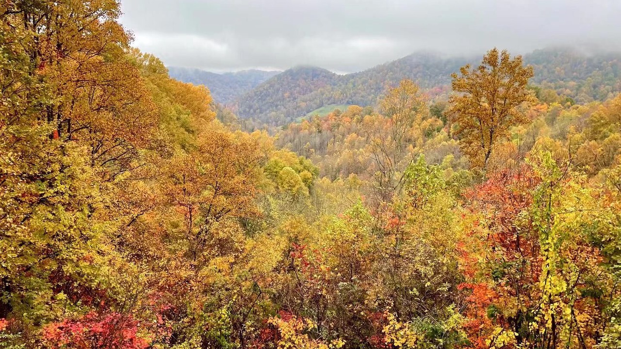 Photo of Outdoor in Mars Hill