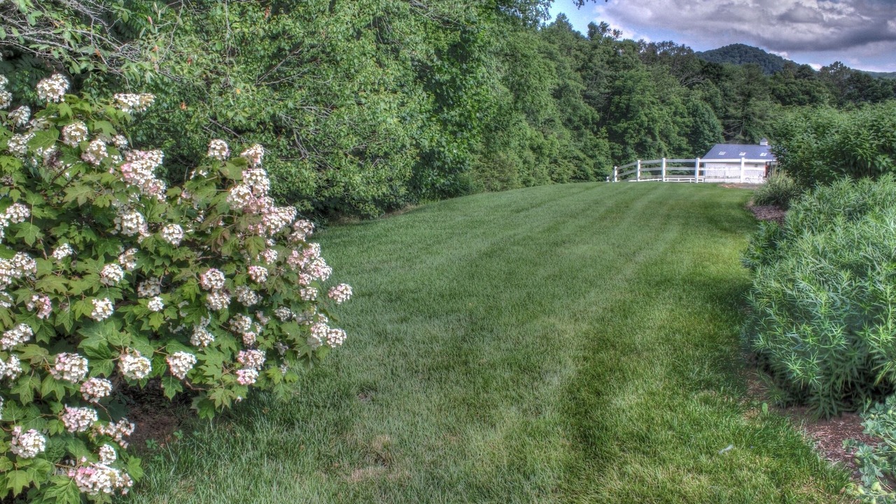 Photo of Outdoor in Weaverville