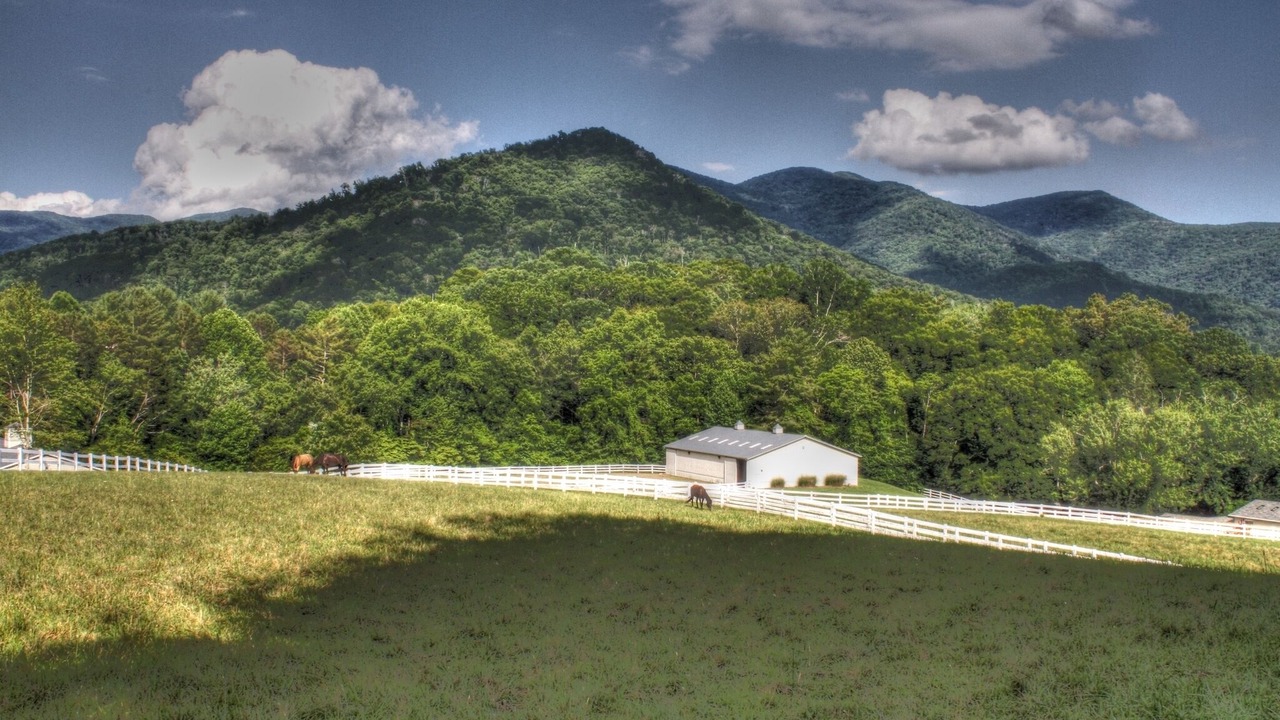 Photo of Outdoor in Weaverville