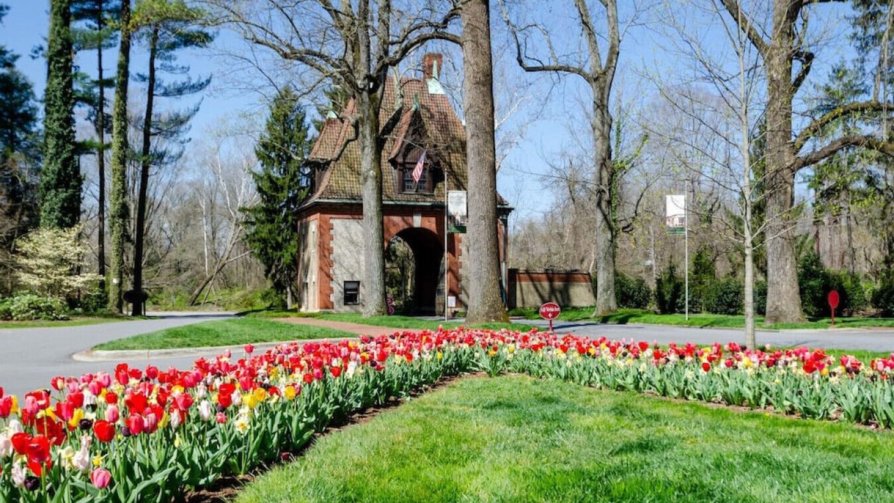 Photo of Outdoor in Asheville