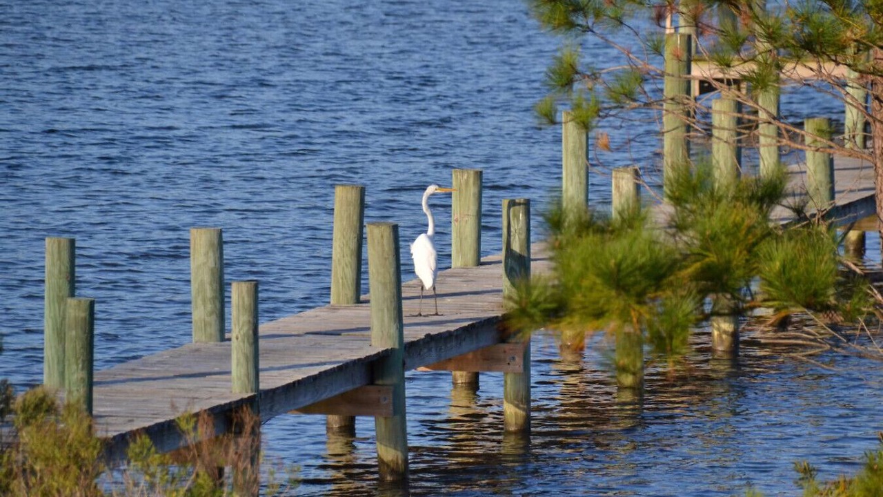 Photo of Others in Smyrna