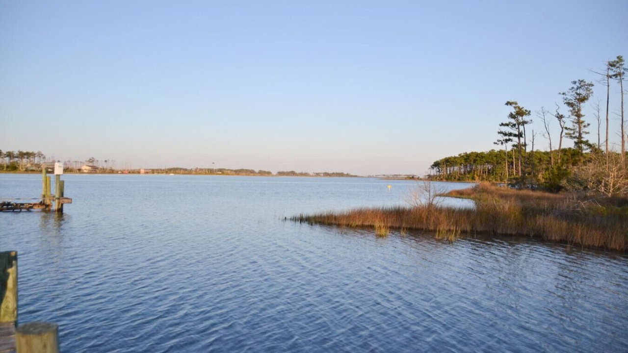 Photo of Others in Smyrna