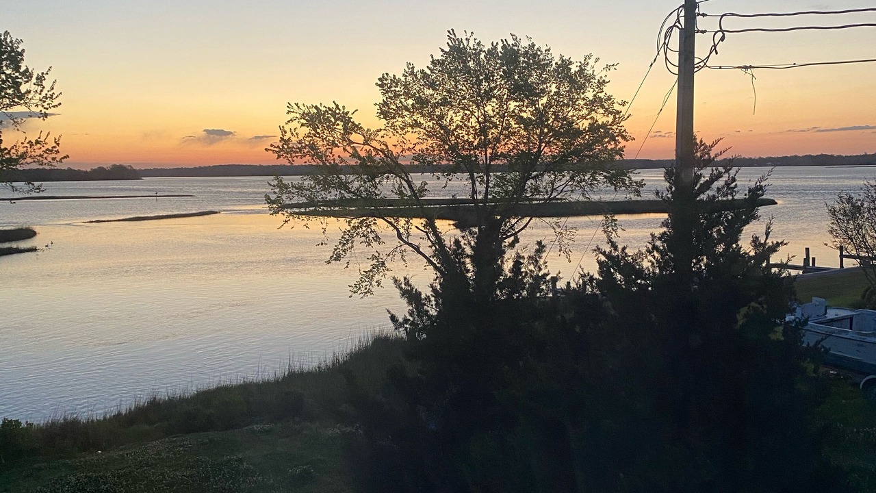 Photo of Others in Swansboro