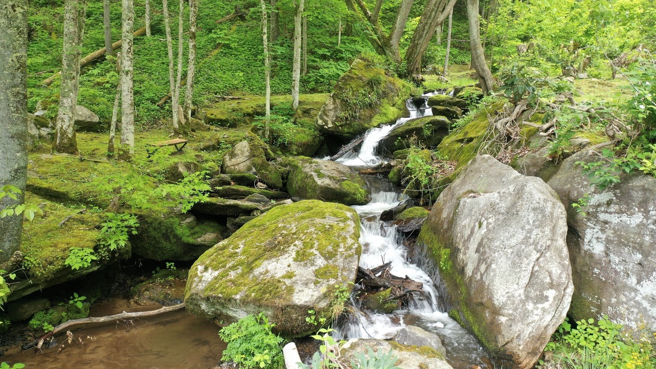 Photo of Others in Hot Springs