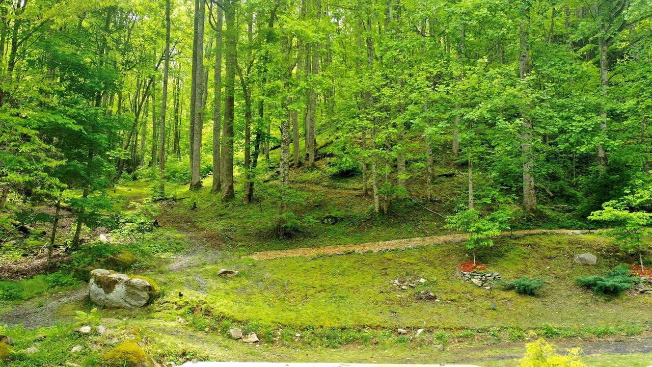 Photo of Others in Hot Springs