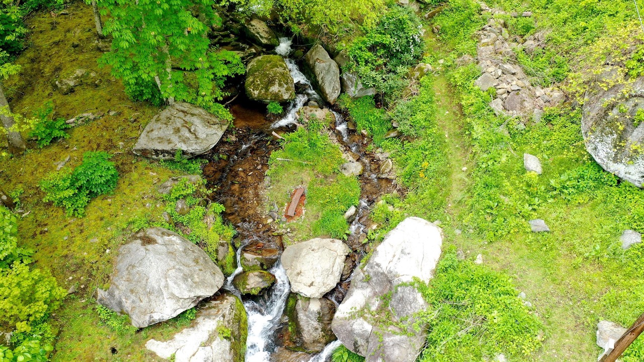 Photo of Others in Hot Springs