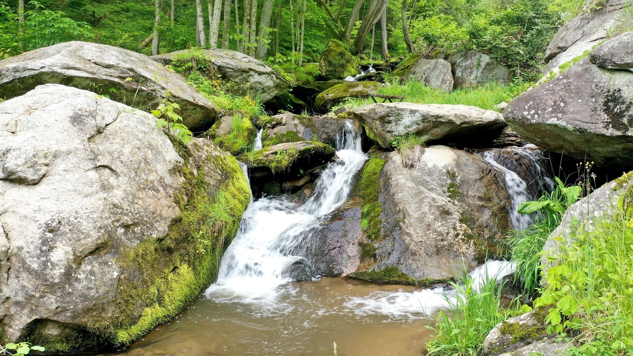 Photo of Others in Hot Springs