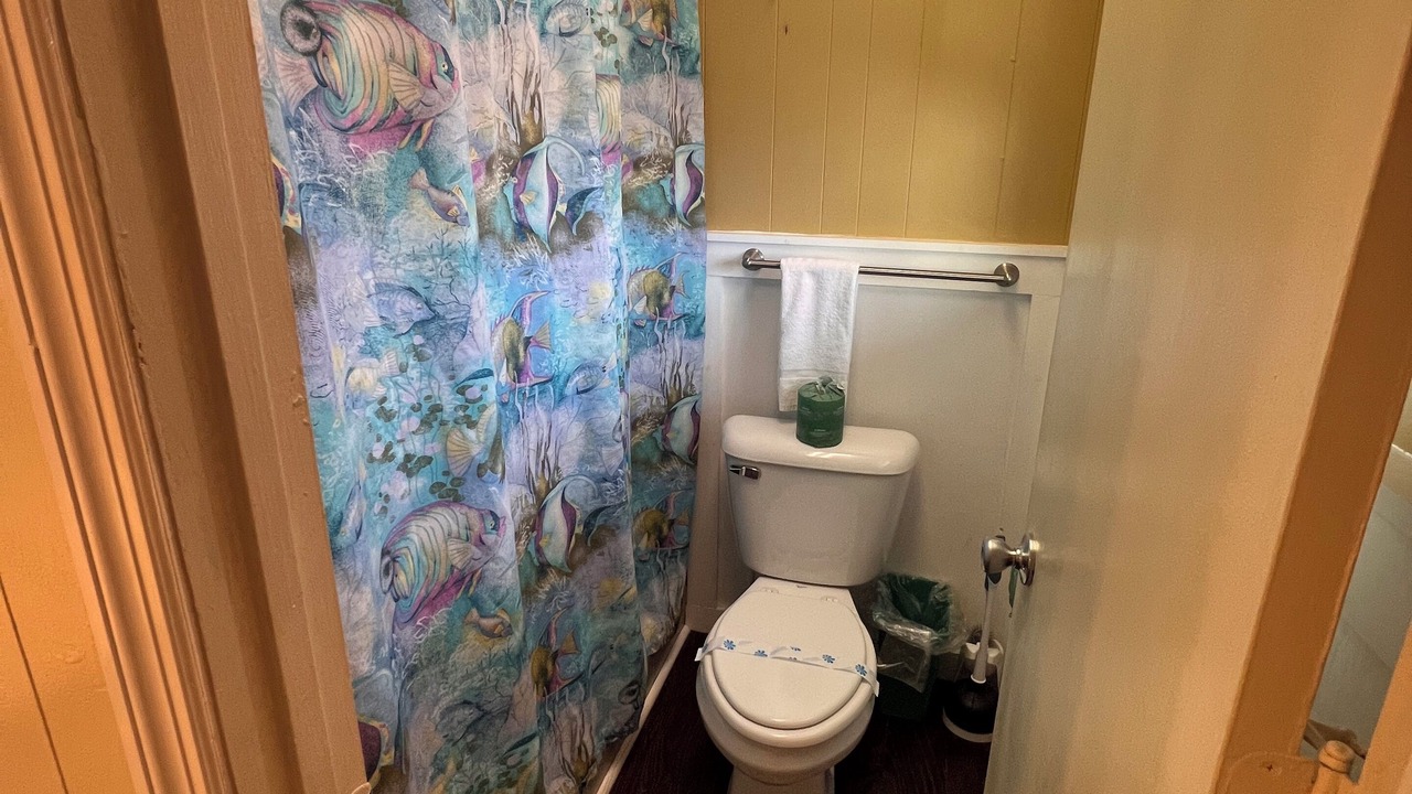 Photo of Bathroom in Topsail Beach