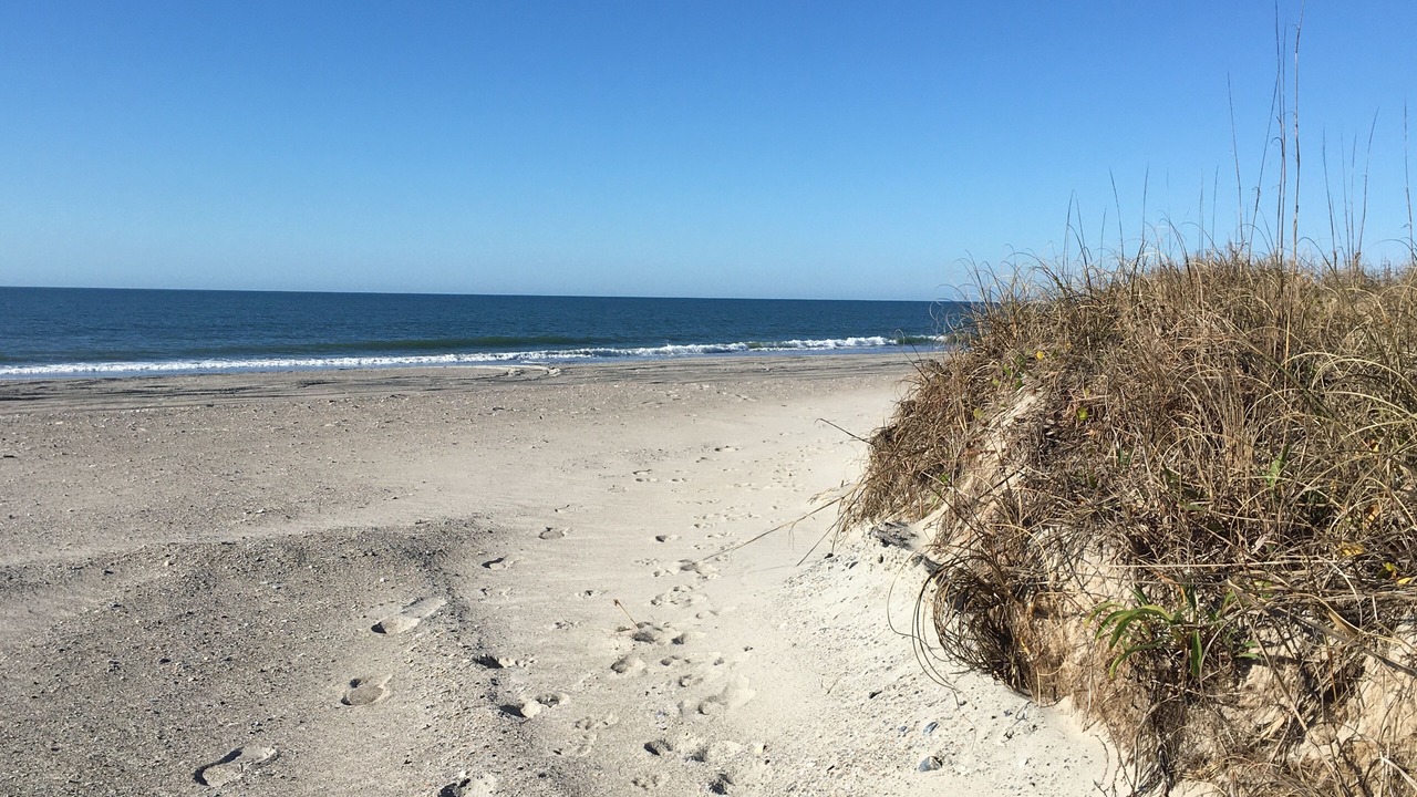Photo of Others in Atlantic Beach