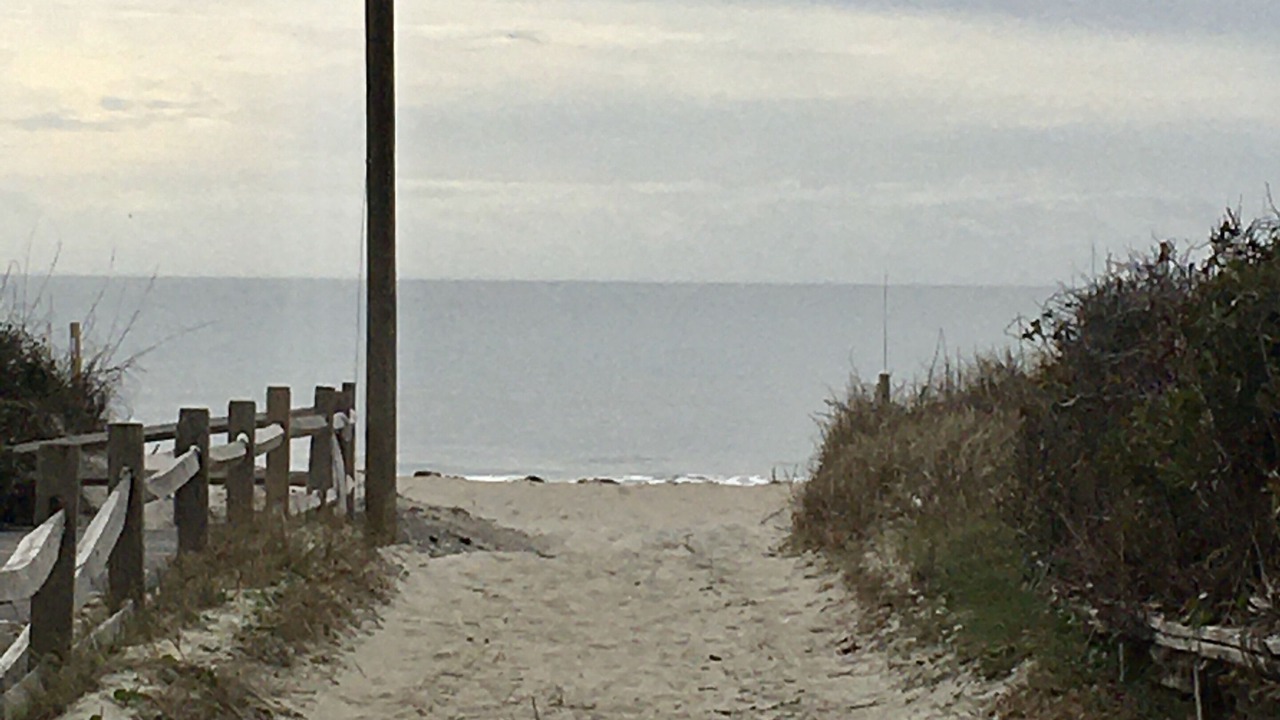 Photo of Others in Atlantic Beach