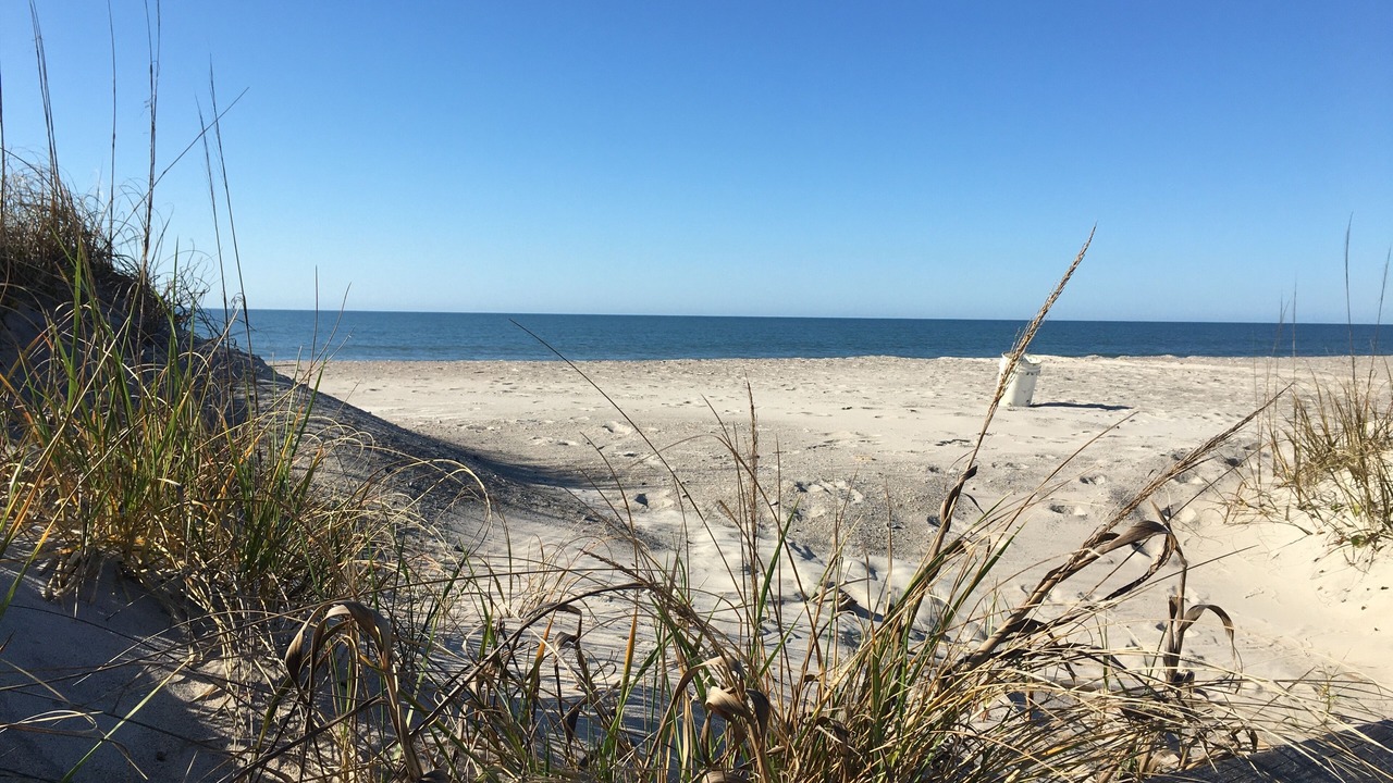 Photo of Others in Atlantic Beach