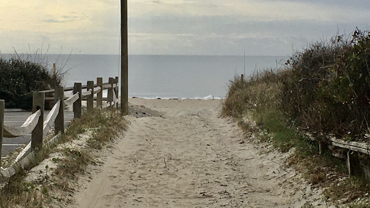 Photo of Others in Atlantic Beach