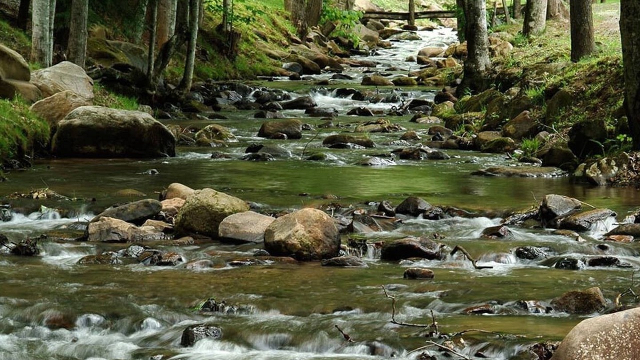 Photo of Outdoor in Bryson City
