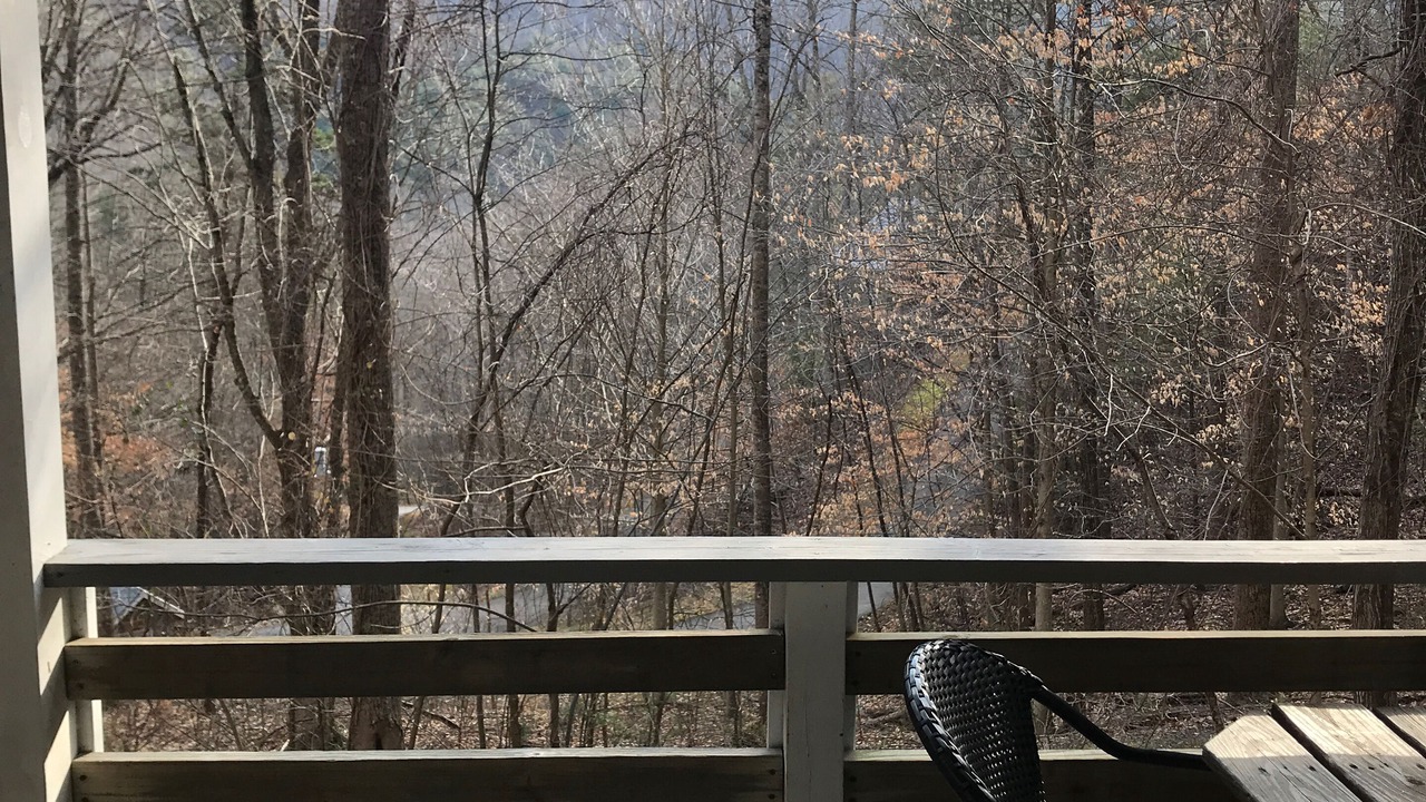 Photo of Outdoor in Weaverville