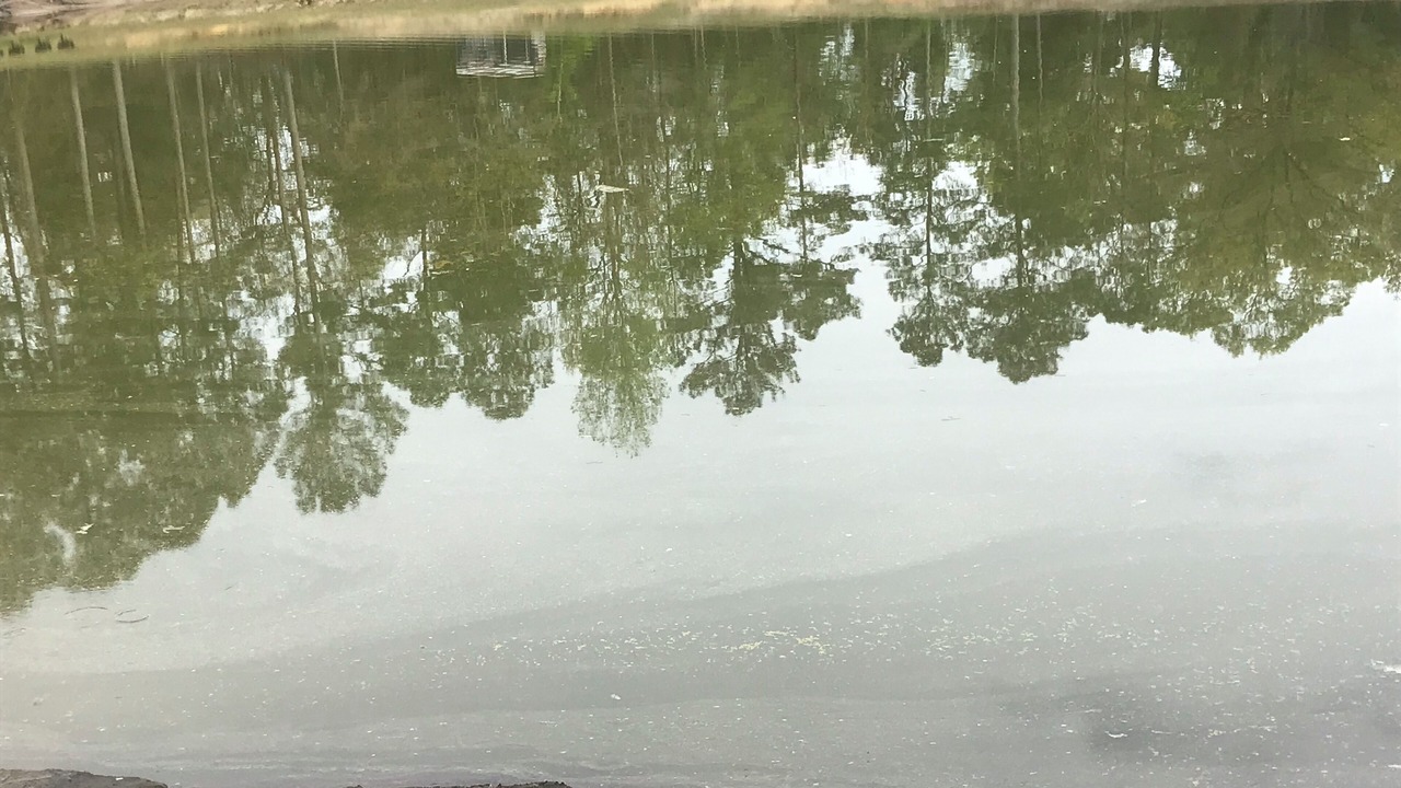 Photo of Others in New Bern