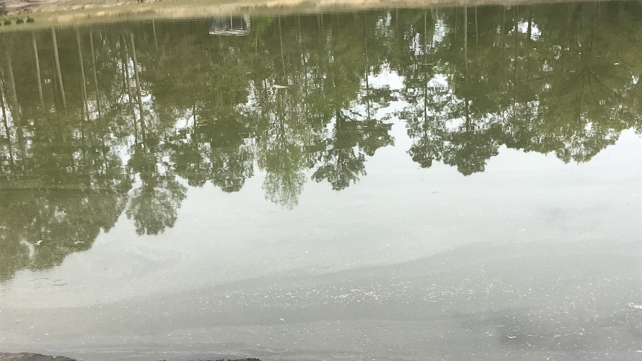 Photo of Others in New Bern