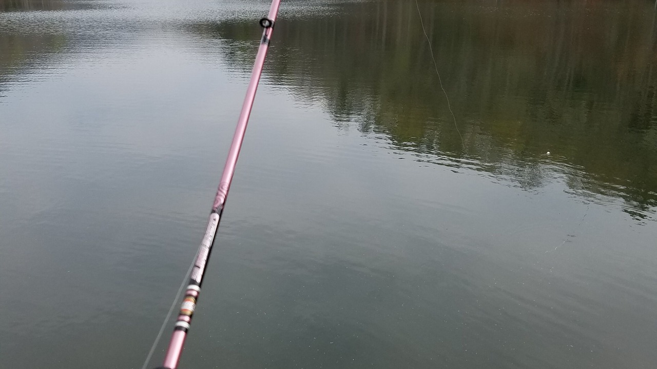 Photo of Outdoor in Lake Lure