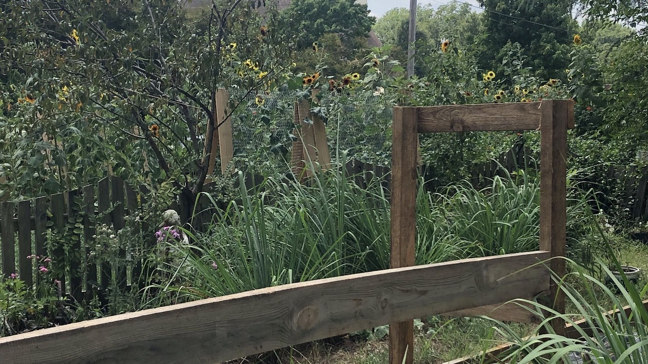 Photo of Outdoor in Huntersville