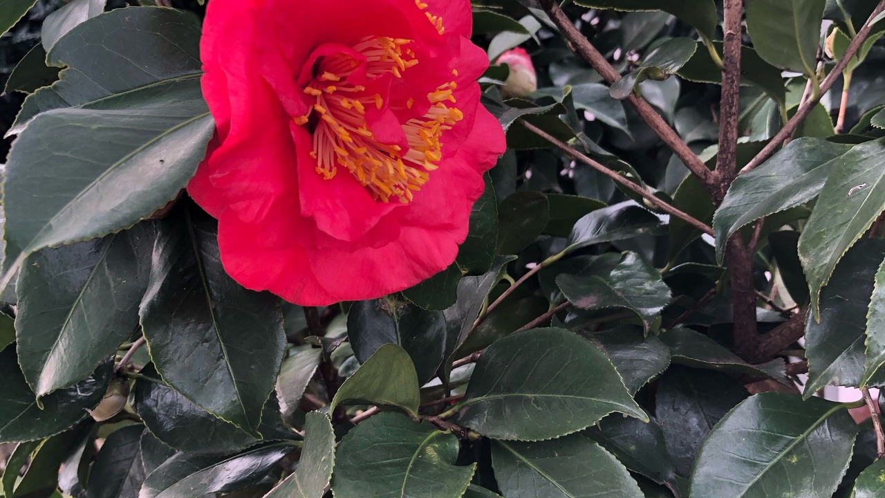 Photo of Outdoor in Huntersville