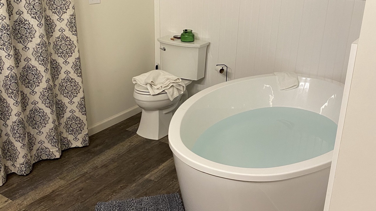 Photo of Bathroom in Plumtree