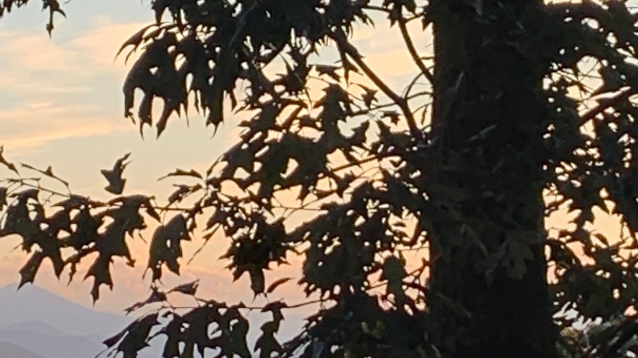 Photo of Outdoor in Kenilworth