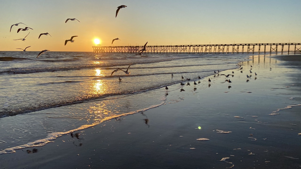 Photo of Others in Long Beach