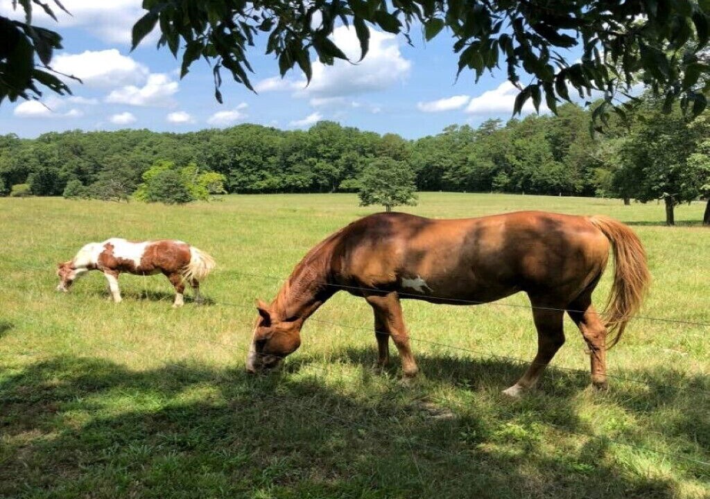 Photo of Outdoor in Denton