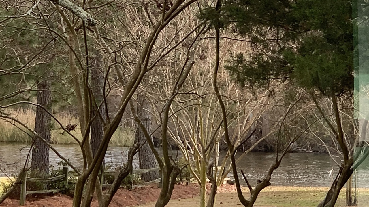 Photo of Outdoor in Edenton