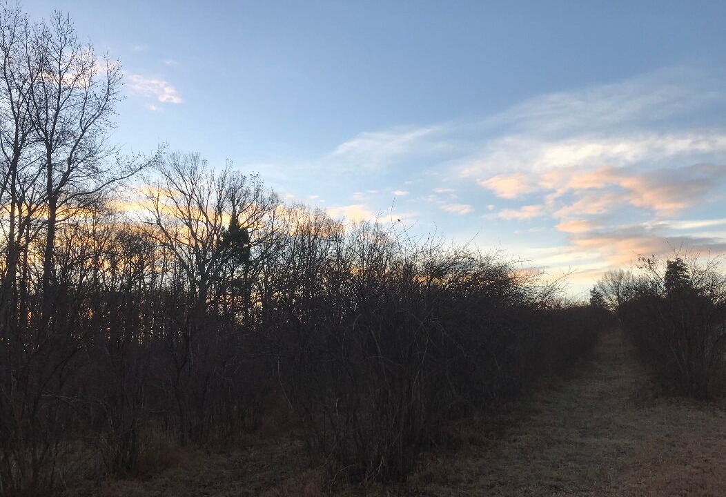 Photo of Outdoor in Cedar Grove