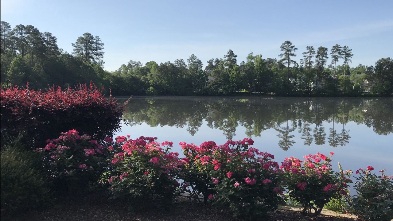 Photo of Outdoor in Durham