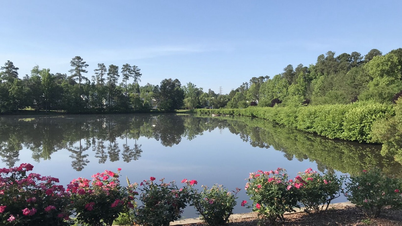Photo of Outdoor in Durham