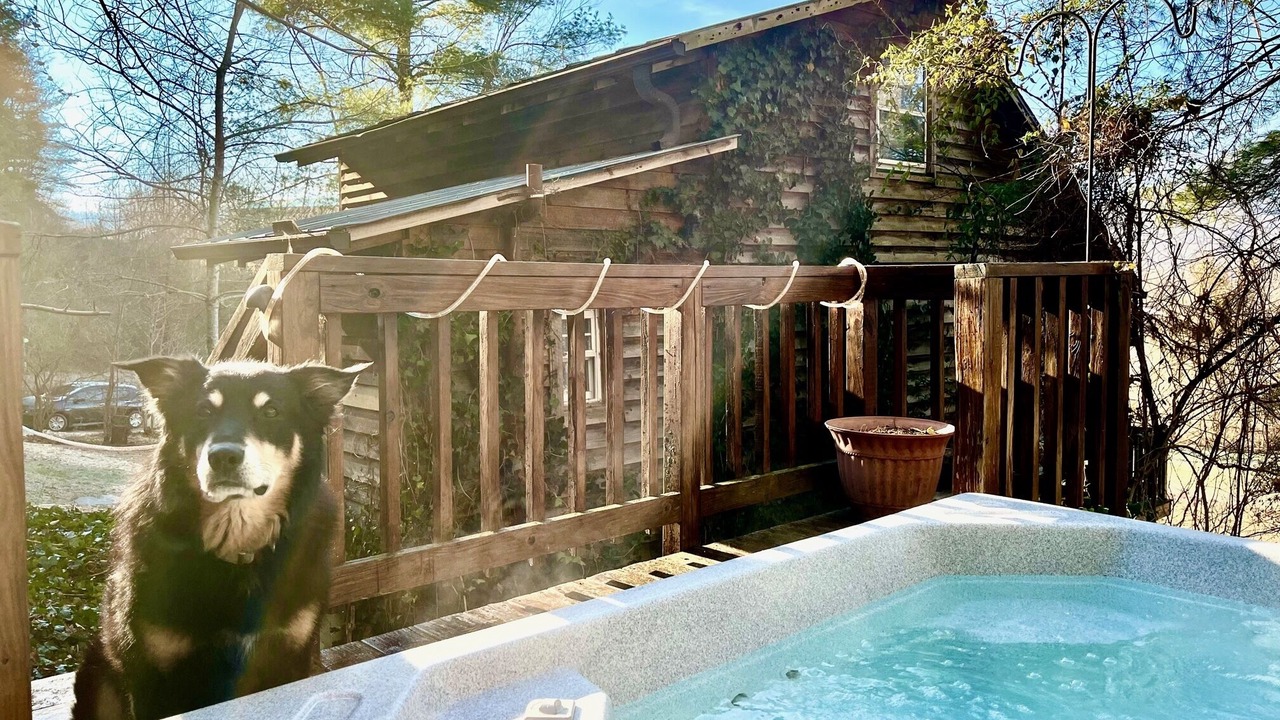 Photo of Others in Hot Springs